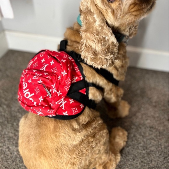 Dog backpack - Picture 2 of 5